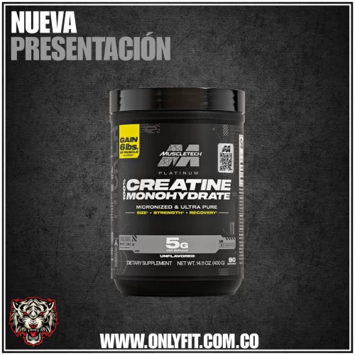 PLATINUM CREATINE - 80 SERVS