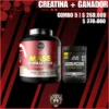 combo-massevolution7lb-platinumcreatine80servs COMBO 5
